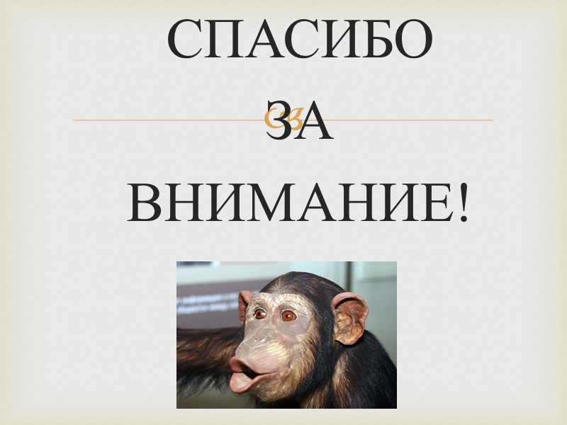 СПАСИБО  ЗА  ВНИМАНИЕ!